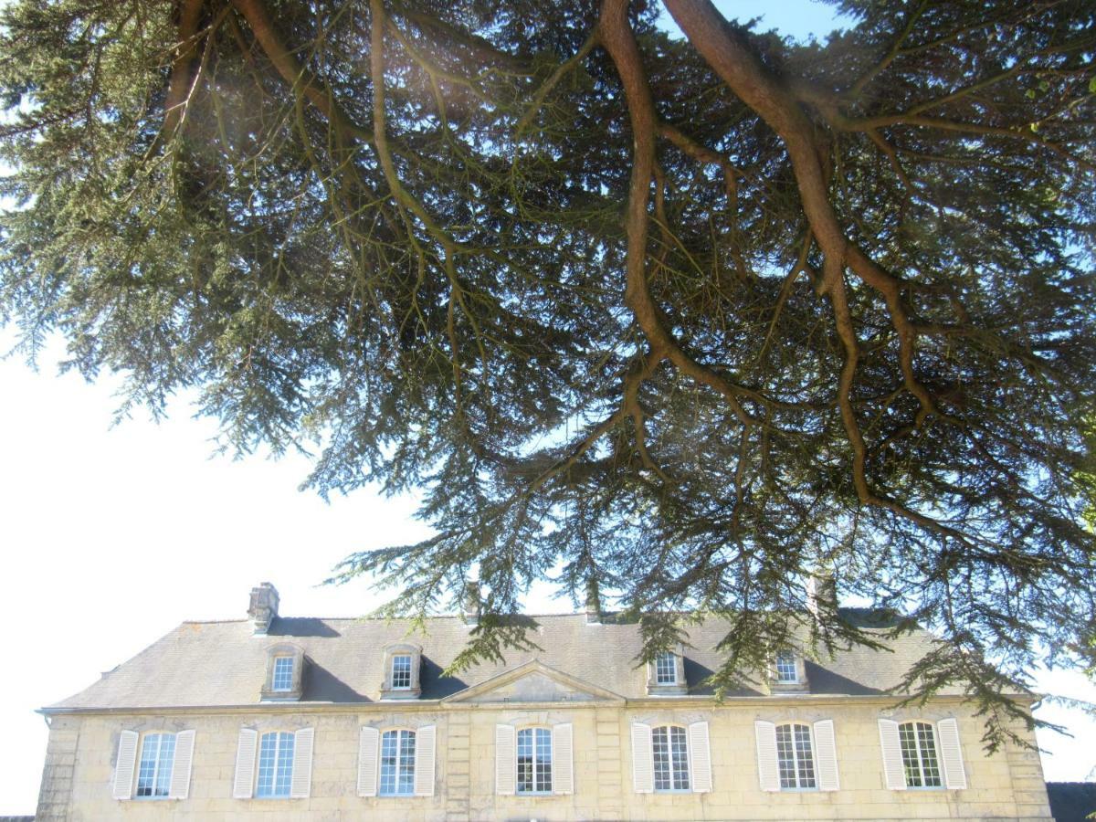 Bed & Breakfast Chateau Les Cedres Bretteville-l'Orgueilleuse Bagian luar foto