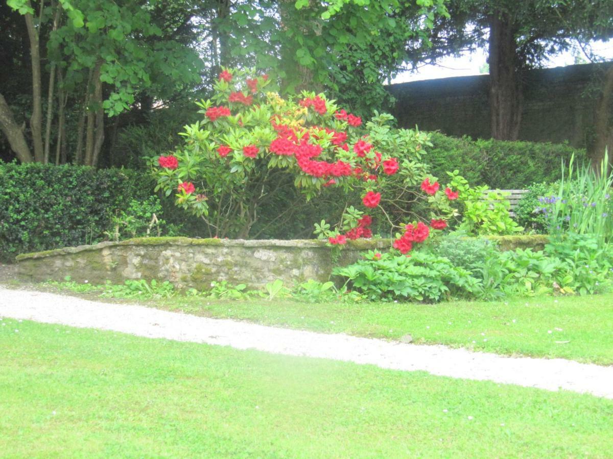 Bed & Breakfast Chateau Les Cedres Bretteville-l'Orgueilleuse Bagian luar foto