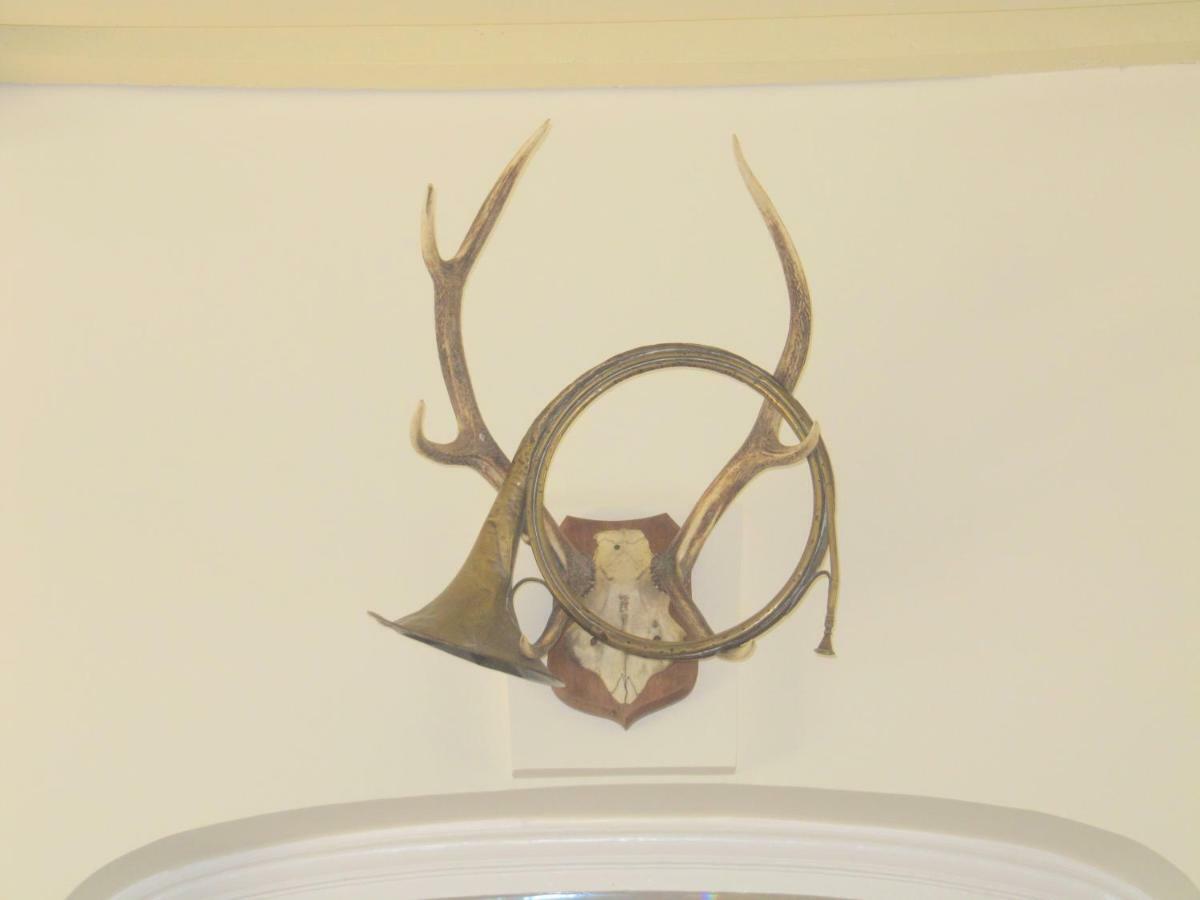 Bed & Breakfast Chateau Les Cedres Bretteville-l'Orgueilleuse Bagian luar foto